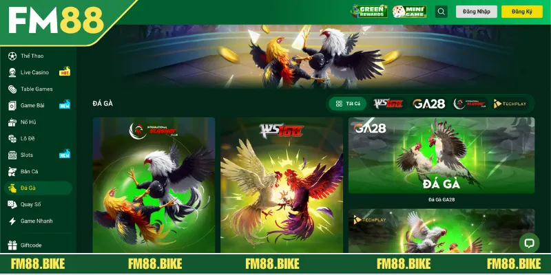 Giới thiệu đôi nét về sảnh cược đá gà FM88 online