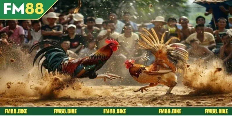 Thông tin cần nắm khi tham gia tại FM88 